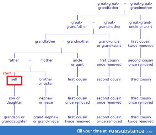 Family tree chart