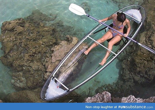 Transparent canoe to observe whatever's underneath you