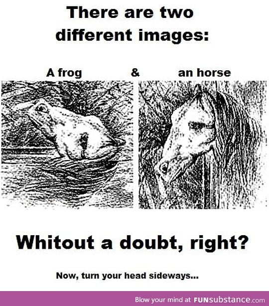 Just a frog and a horse, oh wait