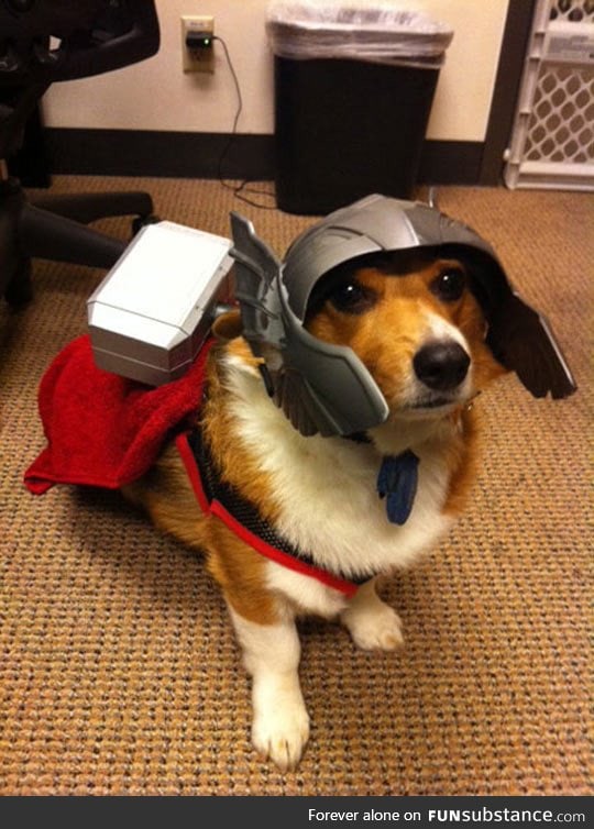 Oh hi, my name is thorgi