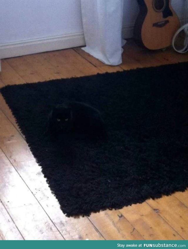 Super stealth cat