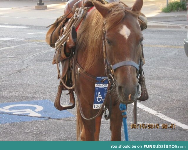 Parked at city hall, handicap permit and all