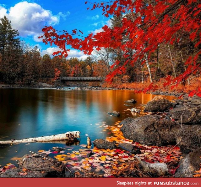 Fall in the Northeast USA