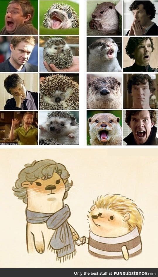 Otterlock