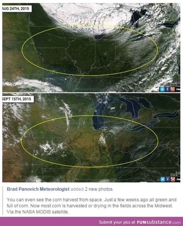 You can see this year's corn harvest from space!