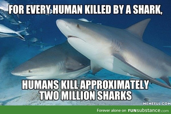 Now we just need a thriller movie about a bloodthirsty human who kills lots of sharks