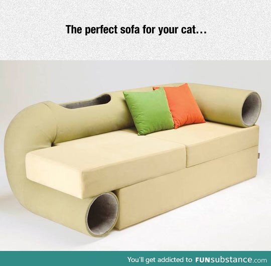 My cat needs this