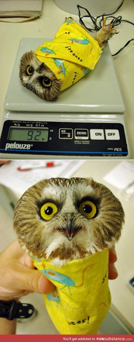 How to weigh an owl