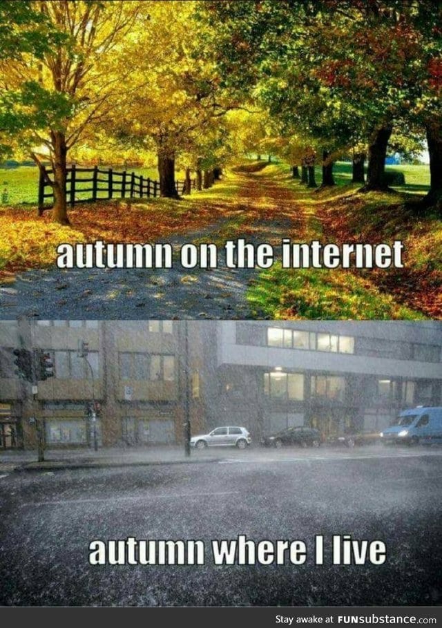 Autumn ain't so beautiful