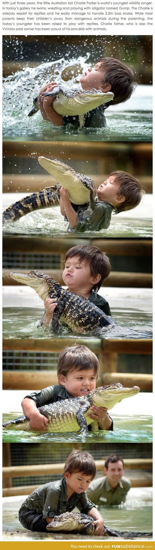 The new Steve Irwin