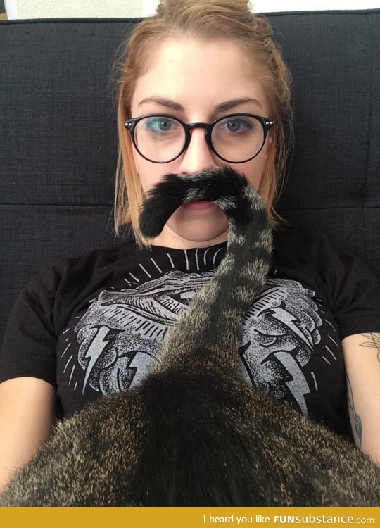 Fabulous meowstache