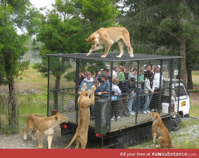 How a zoo SHOULD look