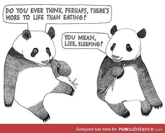 The life of a panda