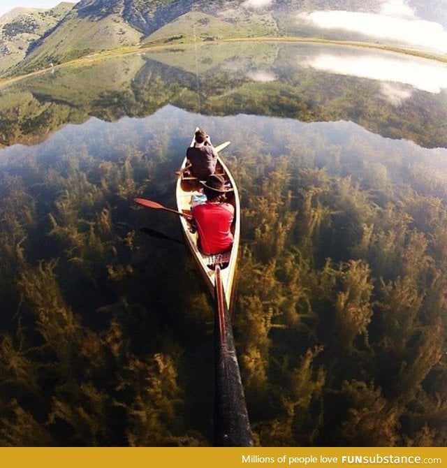 The underwater forest