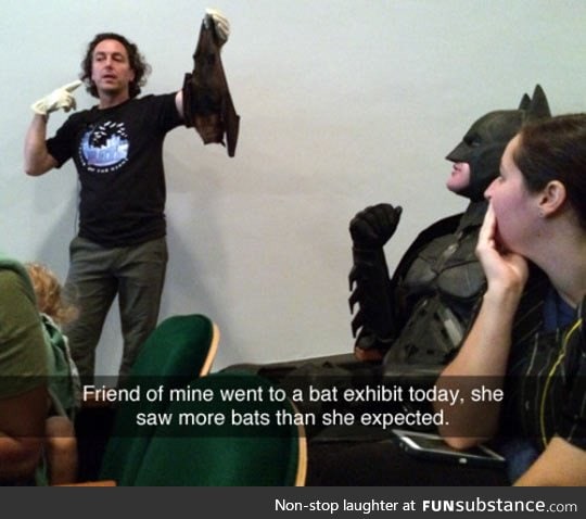 Bat exhibit