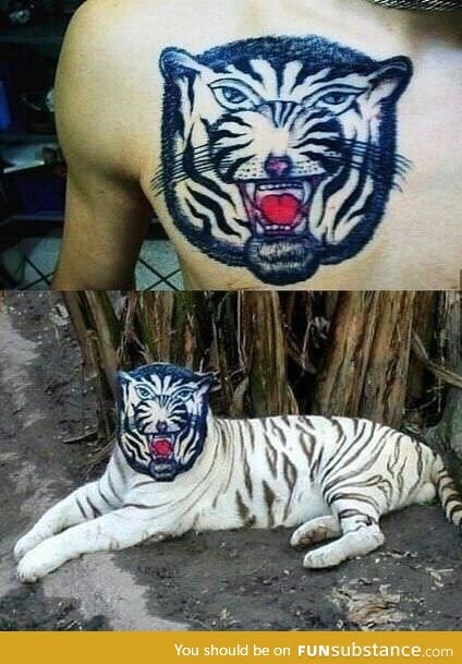 Hyper realistic tiger tattoo