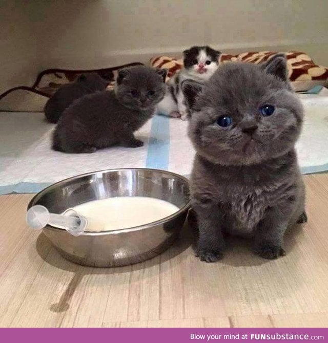 Who will feed me?