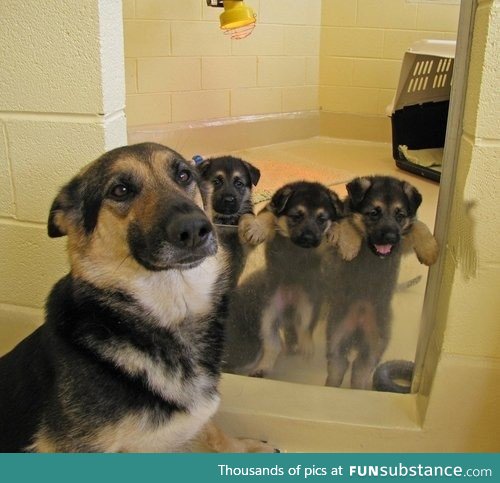 A proud mother