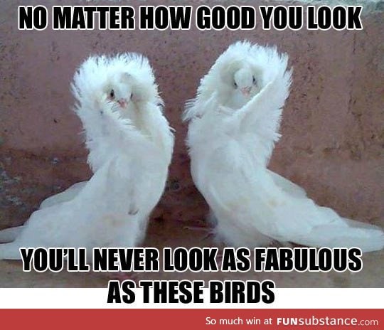 No matter how good you look