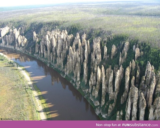 Nature mimicking a city skyline