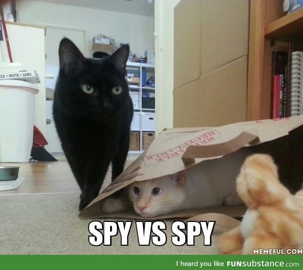 Spy vs Spy