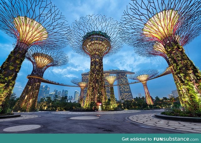 Supertrees, singapore