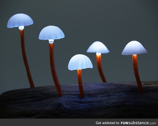 Mushroom lights