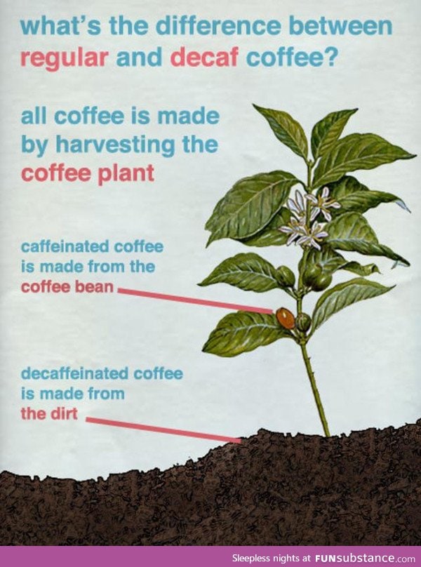 How decaf coffee is made