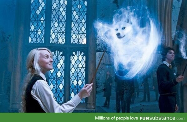 Very magic, such wow