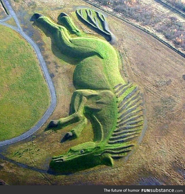 Amazing horse field design