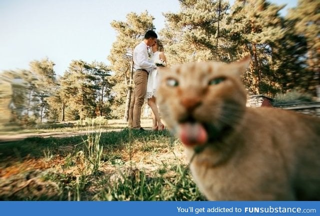 Photobombing done right