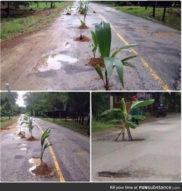 Honduras just being Honduras (Protest against the bad conditions of the roads)