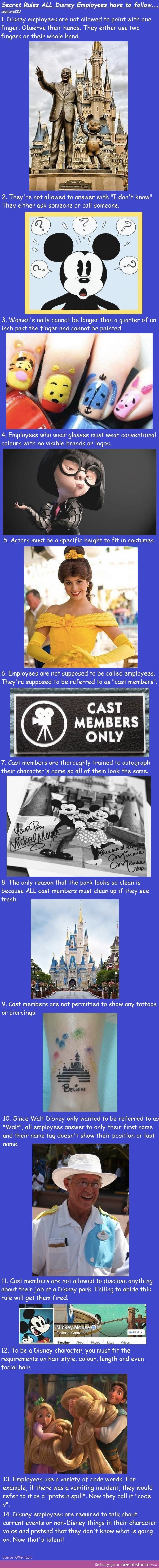 disney employee facts