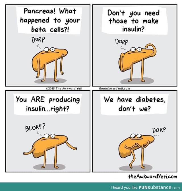 Dammit Pancreas