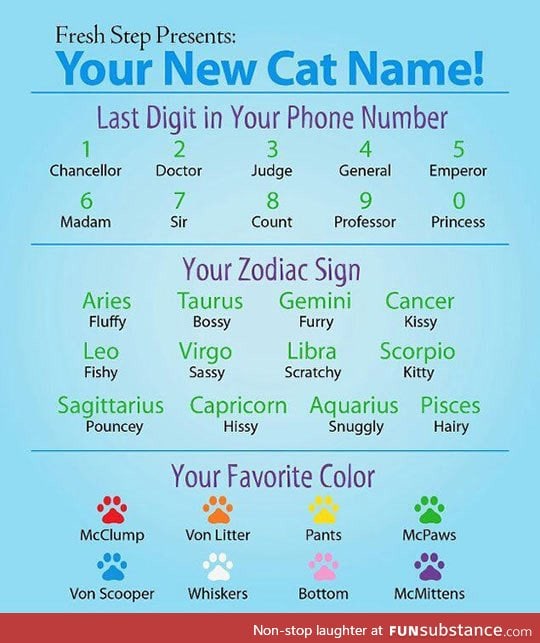 Here's Your New Cat Name