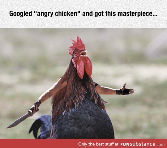 Angry chicken