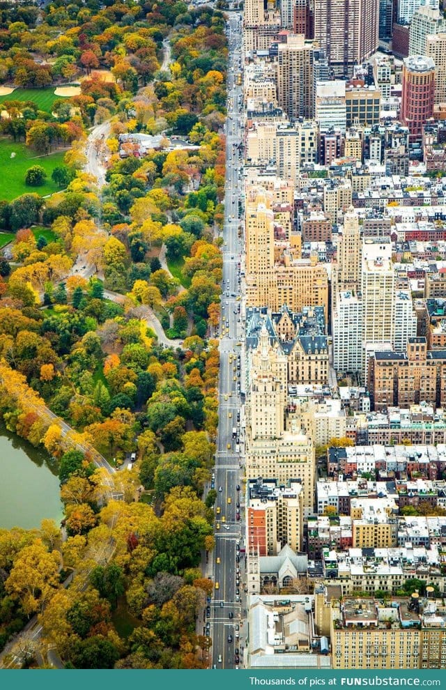 Central park