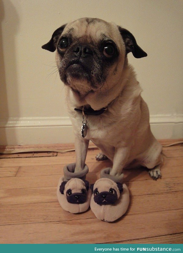 His slippers match his outfit