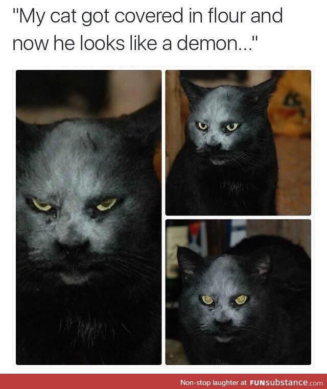 Demon Cat