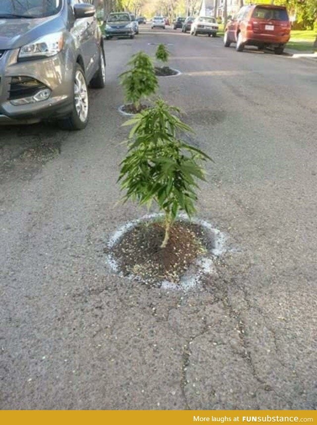 Portland's Pothole Problem is Out of Control