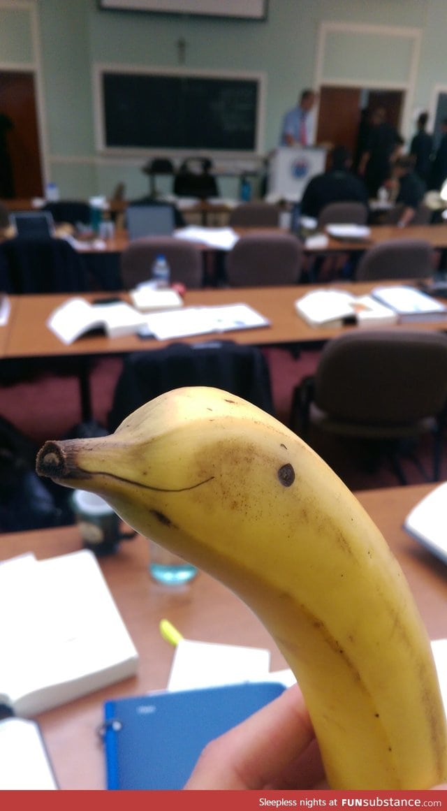 Banana Dolphin hopes you had a good day