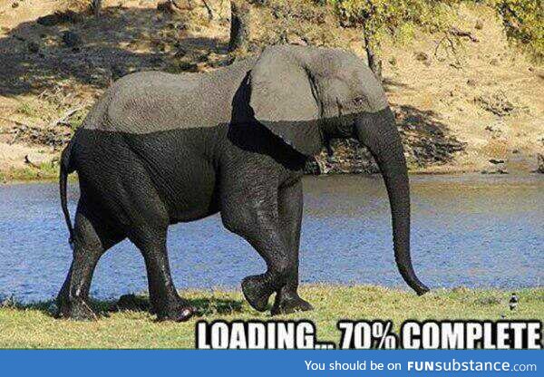 Elephant loading