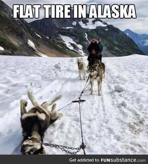 Alaskan flat tire