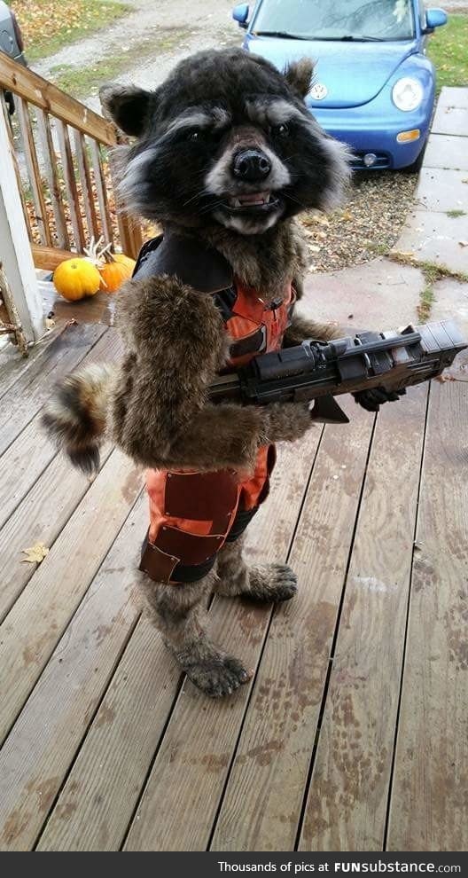 This little kid ruled his halloween school party