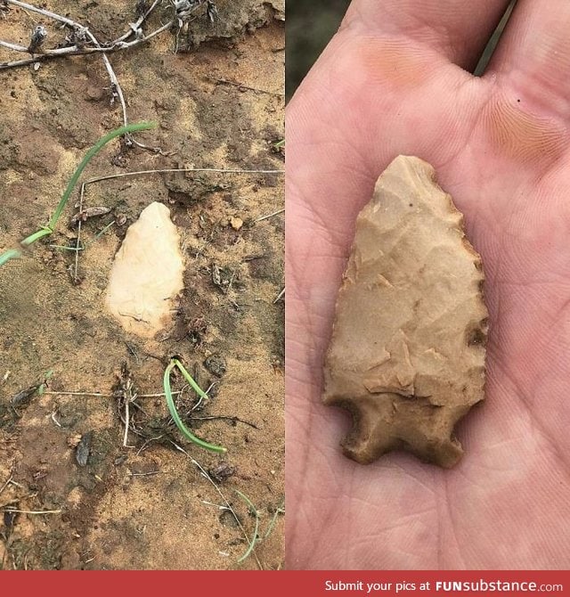 Is it me, or does it look like an ancient arrow head?