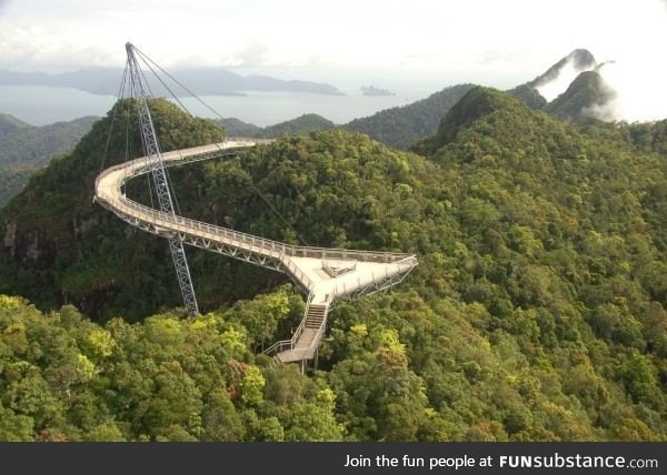 A canopy bridge