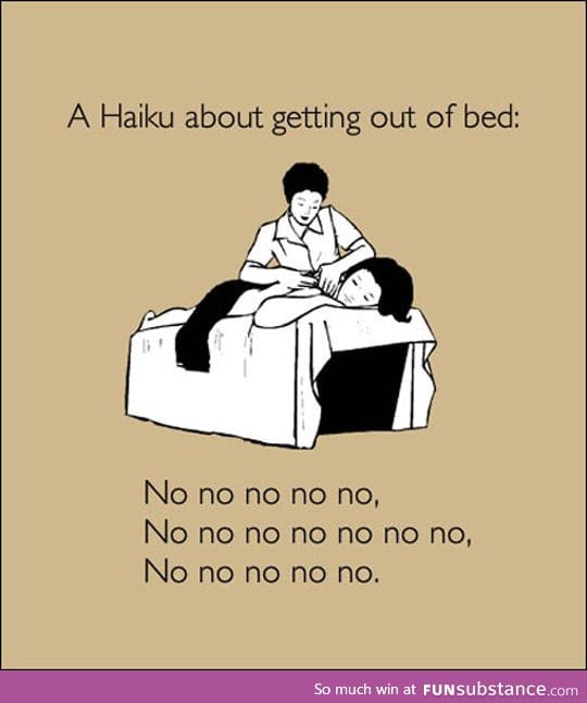 Haiku about my mornings