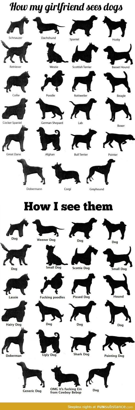 How I see dogs