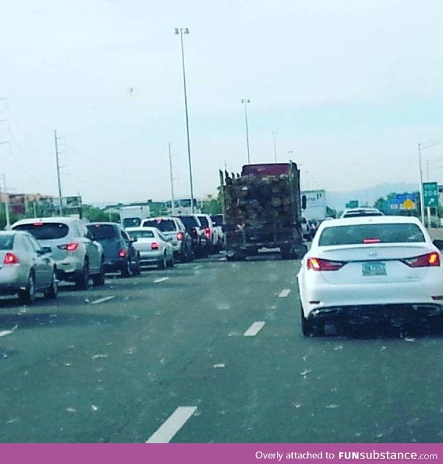 Everyone else on the freeway has seen Final Destination too