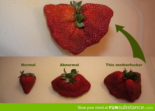 Types of strawberries